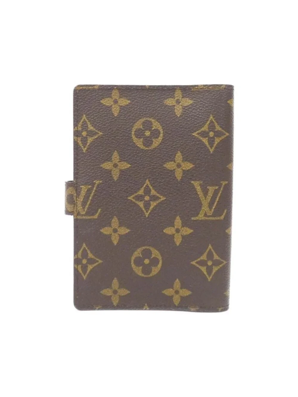 Louis Vuitton brand louis